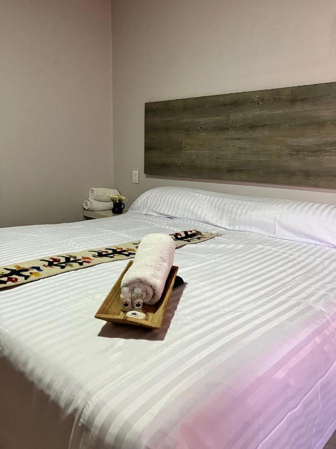 ホテル Casa Biznaga オアハカ州 エクステリア 写真